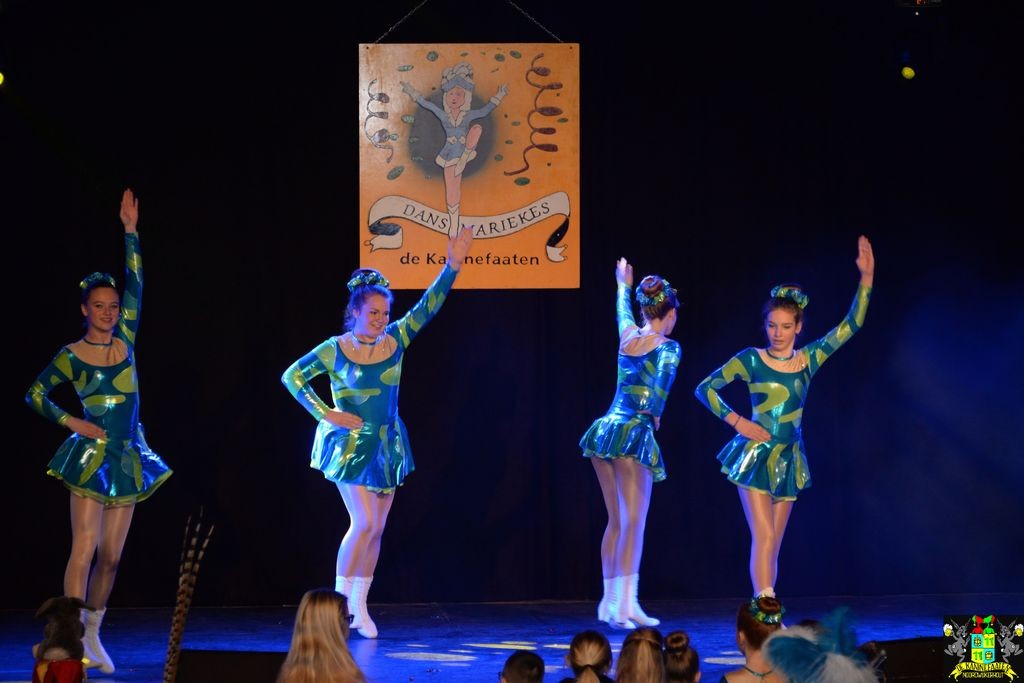 ../Images/Dansmarieke festival 2018 182.jpg